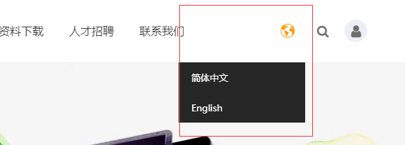 多语言或多城市开启则显示，否则隐藏的判断(图2)